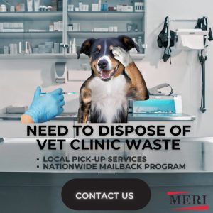 Dog getting vaccine in veterinary practice